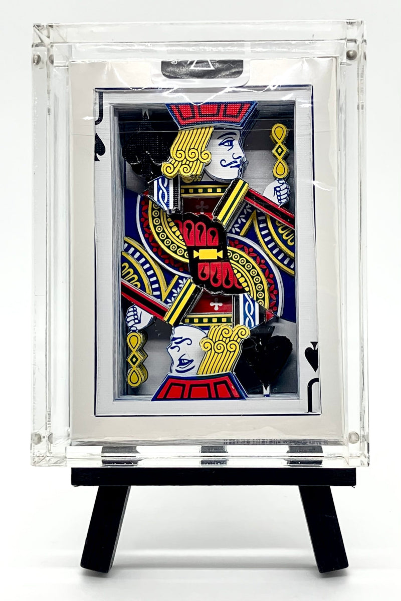 Jack of Spades 3-D Deck image 2